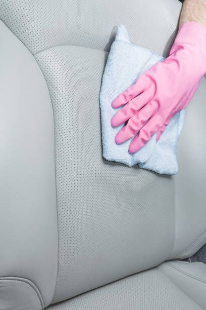 How to clean cat urine from leather car seat