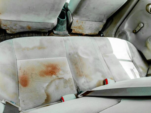 How do you get mould off car seats