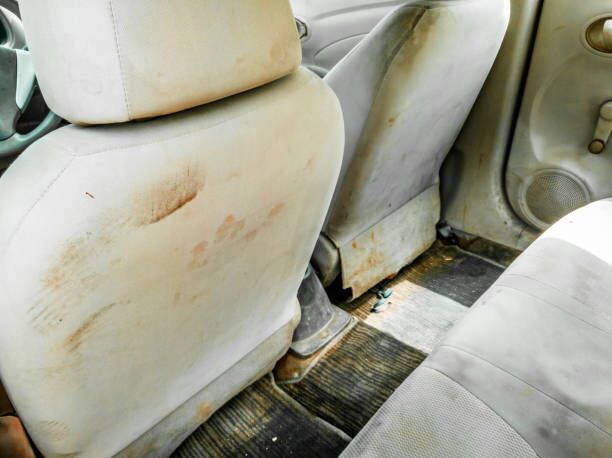 How do you get mould off car seats