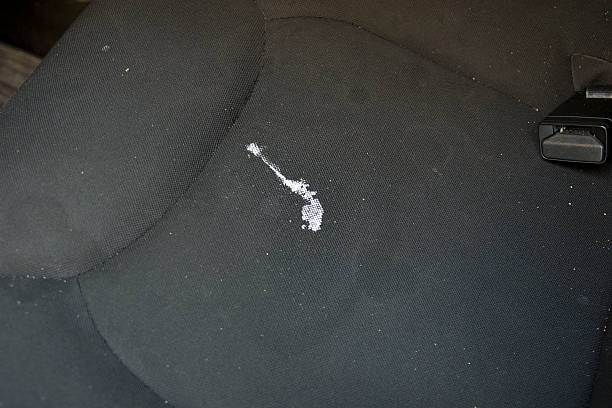 How to get saltwater stains out of car seats