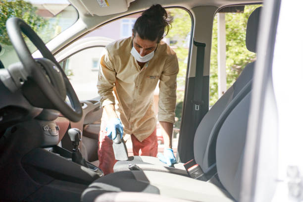 How to clean cat pee off car seat