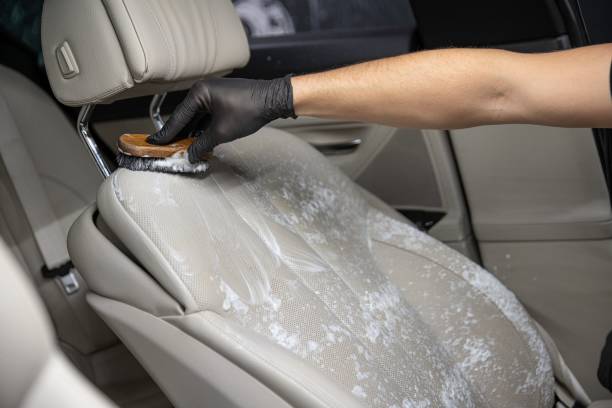 How to clean dog pee on car seat