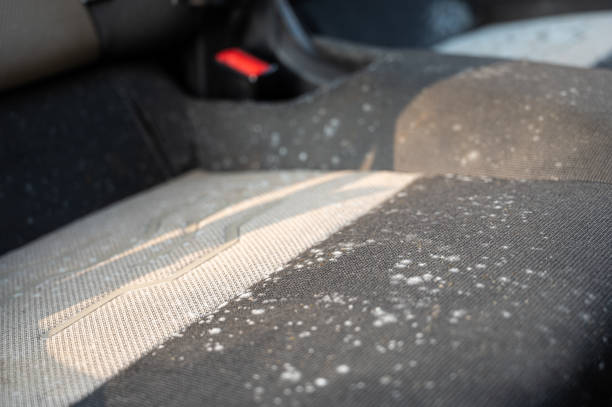 How to remove soda stains from car seats