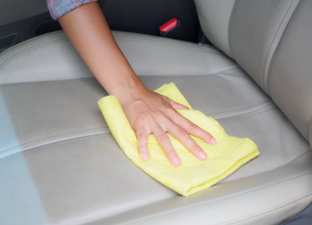 How to clean cat pee off car seat