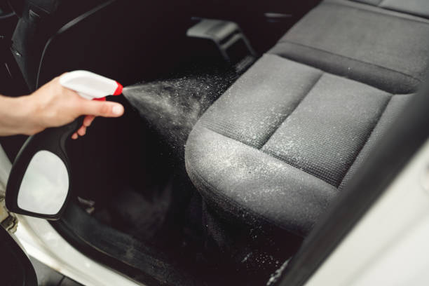How to clean dog pee on car seat