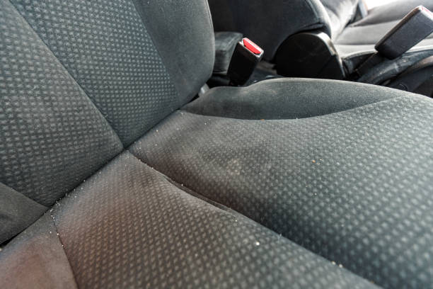 How to clean black cloth seats in car