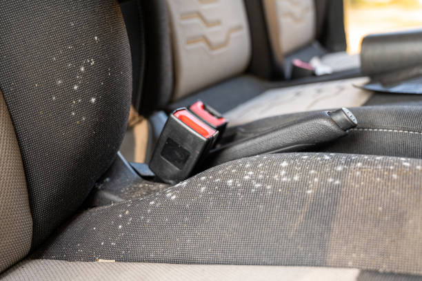 How to clean black cloth seats in car