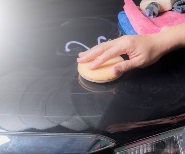 Formula 1 Carnauba High-Gloss Shine Car Wax Paste – Carnauba Wax Car Polish  for Car Detailing to Shine & Protect – Car Scratch Remover w/Micro